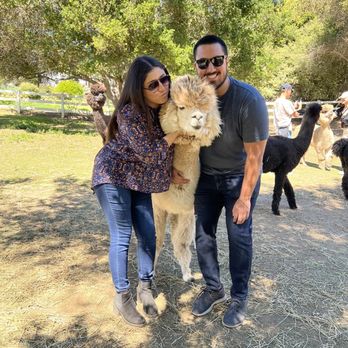 Canzelle Alpacas - Farms Near Me - Carpinteria, California