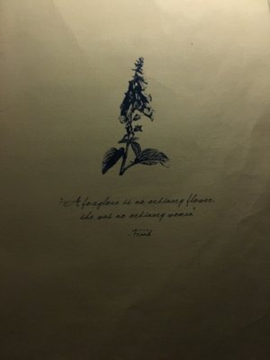 Foxglove by null