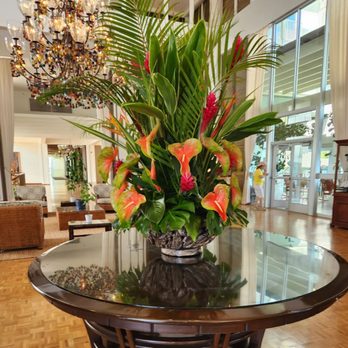 The Veranda - Wine Bars Near Me - Honolulu, Hawaii