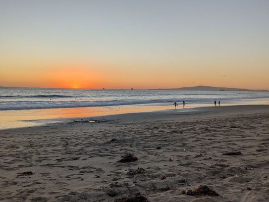 Beach City Provisions by null