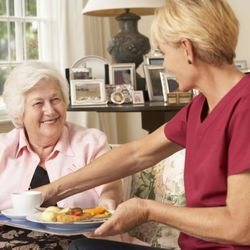 Regency Home Care of North Atlanta - Senior caregivers in Atlanta, GA