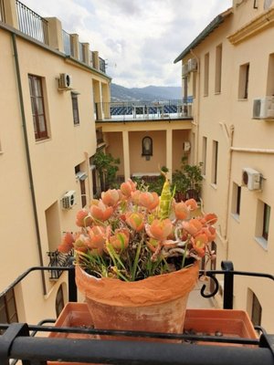 Collegio di Maria | Convento Cefalù B&B by null