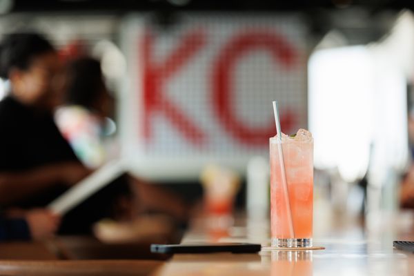 Two Birds One Stone by null