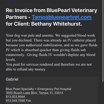 BluePearl - Tampa - Veterinarians Near Me - Tampa, Florida BluePearl - Tampa - Veterinarians Near Me - Tampa, Florida
