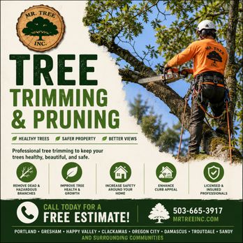 Mr. Tree - Tree Services Near Me - Portland, Oregon Mr. Tree - Tree Services Near Me - Portland, Oregon