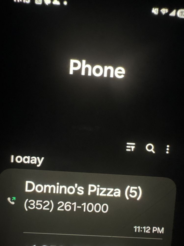 Domino's Pizza Logo