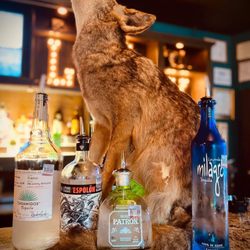 Come howl at the moon with us at Publik!