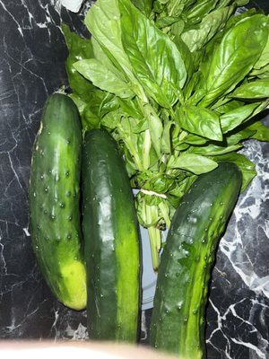 Copley Square Farmers Market by null