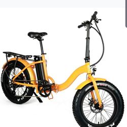 Asheville Custom E Bikes - Electric folding fat tire E-bike