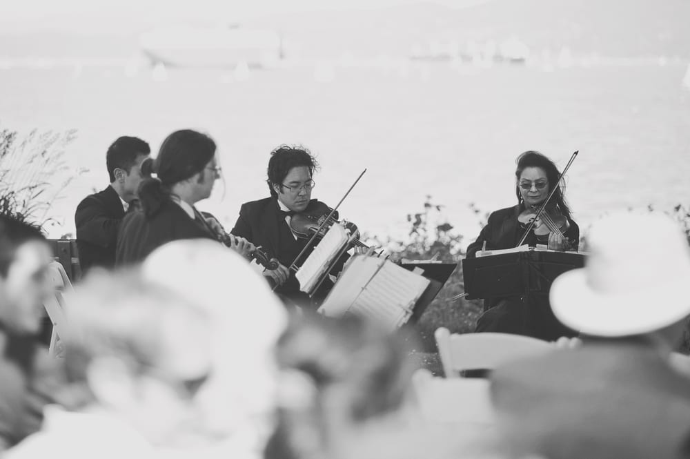 ARMADILLO STRING QUARTET - Updated February 2026 - Vancouver, British ...