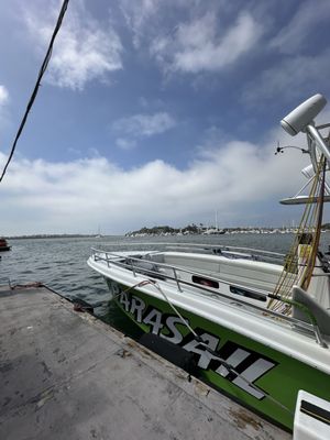 Marina del Rey Parasailing by null