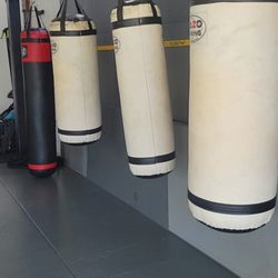 Bayfit SF - Semi-private Training available: fitness boxing/kickboxing & HIIT