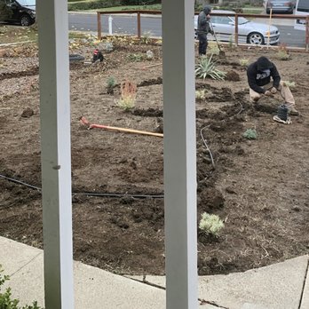 Benito Landscaping and Garden Services - Installing the drip system - Landscaping Near Me
