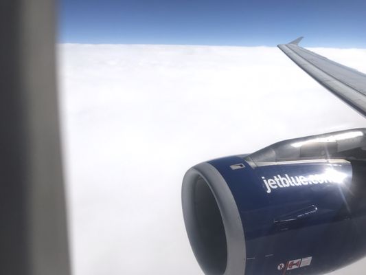 JetBlue by null