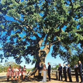 Don Mulford Weddings - Officiants Near Me