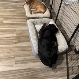 Sophia and Theodore