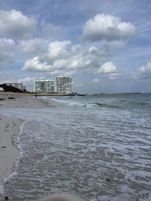 Dr. Von D. Mizell-Eula Johnson State Park by null
