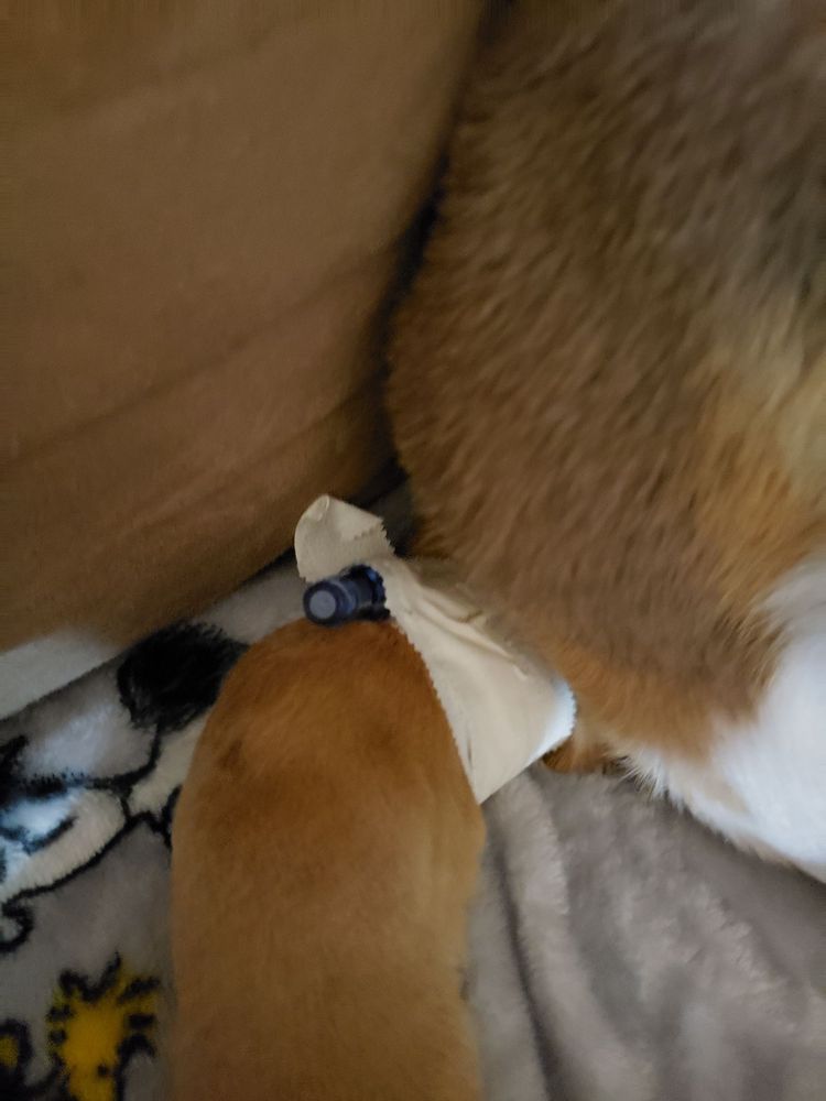 GREEN ACRES VETERINARY CENTER 91 Reviews Veterinarians 2060