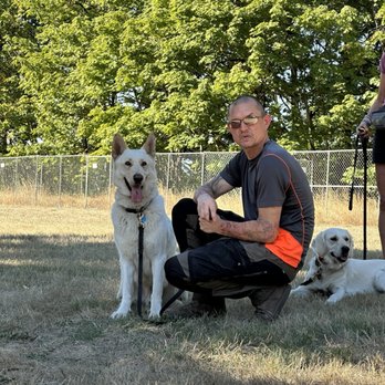 TM Dog Training - Pet Training Near Me TM Dog Training - Pet Training Near Me