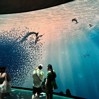 Richard Gilder Center for Science - Museums Near Me - New York, New York Richard Gilder Center for Science - Museums Near Me - New York, New York