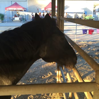 Fall Into AG Festival At Mt SAC - Festivals Near Me - Walnut, California Fall Into AG Festival At Mt SAC - Festivals Near Me - Walnut, California