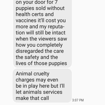 Starting Over Animal Refuge - I found the #8 puppy it's shy it wasn't dead. We had major storms the mother took the puppies under shed. She thinks that's neglect lol - Pet Adoption Near Me