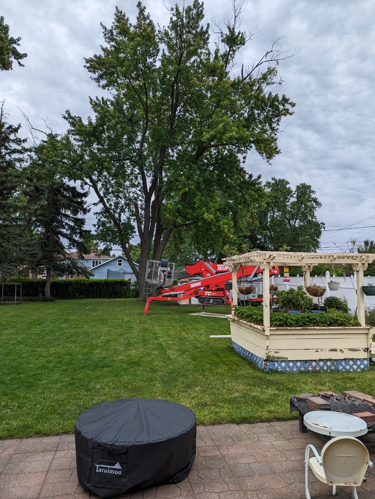 J & S Tree Service - tree service in Addison, IL