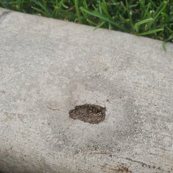 Creative Landscape Borders - a hole in a concrete curb - Landscaping Near Me Creative Landscape Borders - a hole in a concrete curb - Landscaping Near Me