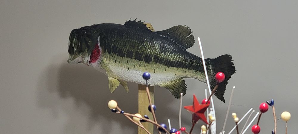 At The Wall Taxidermy - taxidermy in Orion, IL