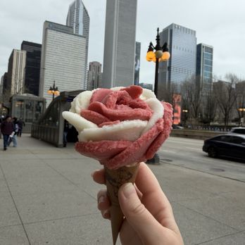 Amorino - Desserts Near Me - Chicago, Illinois