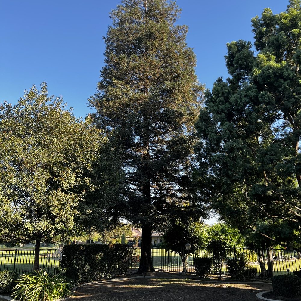 Art's Tree Service - Tree Services Near Me