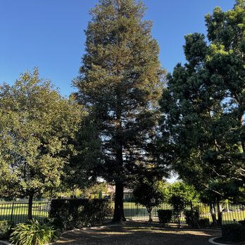 Art's Tree Service - Tree Services Near Me Art's Tree Service - Tree Services Near Me