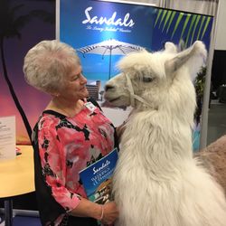 Wedding Show with Caesar