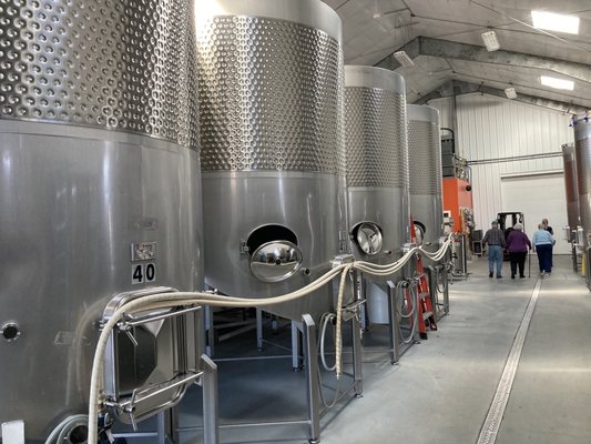 Cellardoor Winery by null