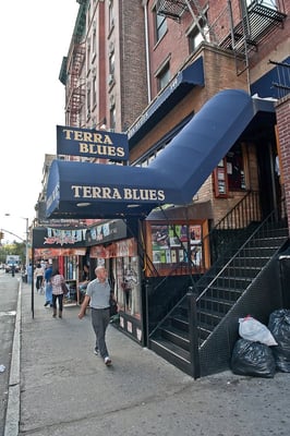Terra Blues by null