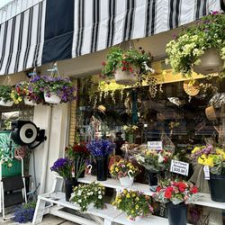 Penny's Flowers in Glenside gift card