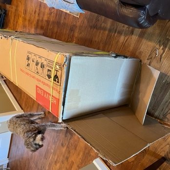 Norris Freight Service - Not sure sure if item damaged yet. - Couriers & Delivery Services Near Me - Loris, South Carolina Norris Freight Service - Not sure sure if item damaged yet. - Couriers & Delivery Services Near Me - Loris, South Carolina