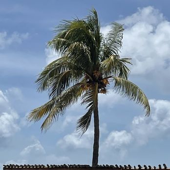 El Cozumeleño Beach Resort - Hotels Near Me - Coxumel, ROO El Cozumeleño Beach Resort - Hotels Near Me - Coxumel, ROO