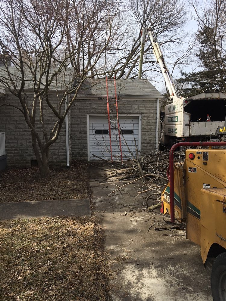 Nixdorf Tree Services - tree service in Springfield, MO