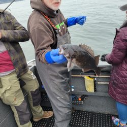 Crescent City Fishing