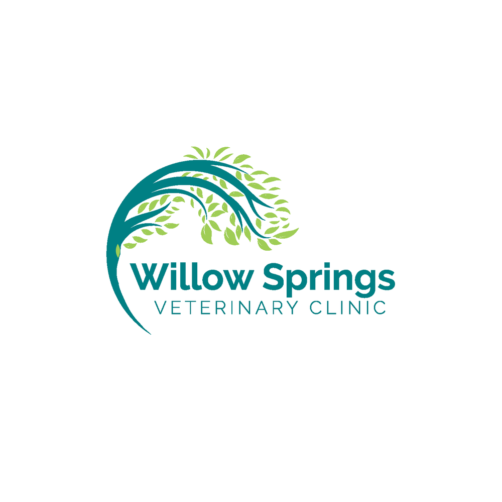 WILLOW SPRINGS VETERINARY CLINIC Updated October 2024 24 Reviews
