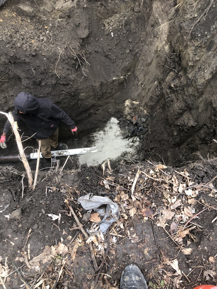 Slide of Shawn's Botany and Lanscaping