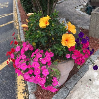 Eveready Diner - Flowers by the entrance - Diners Near Me - Hyde Park, New York Eveready Diner - Flowers by the entrance - Diners Near Me - Hyde Park, New York