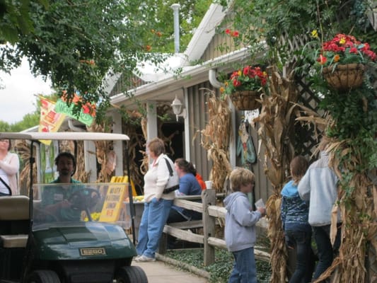 Curtis Orchard & Pumpkin Patch by null