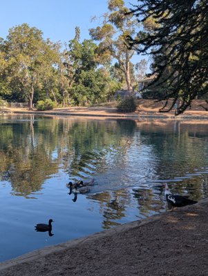 Laguna Lake Park by null