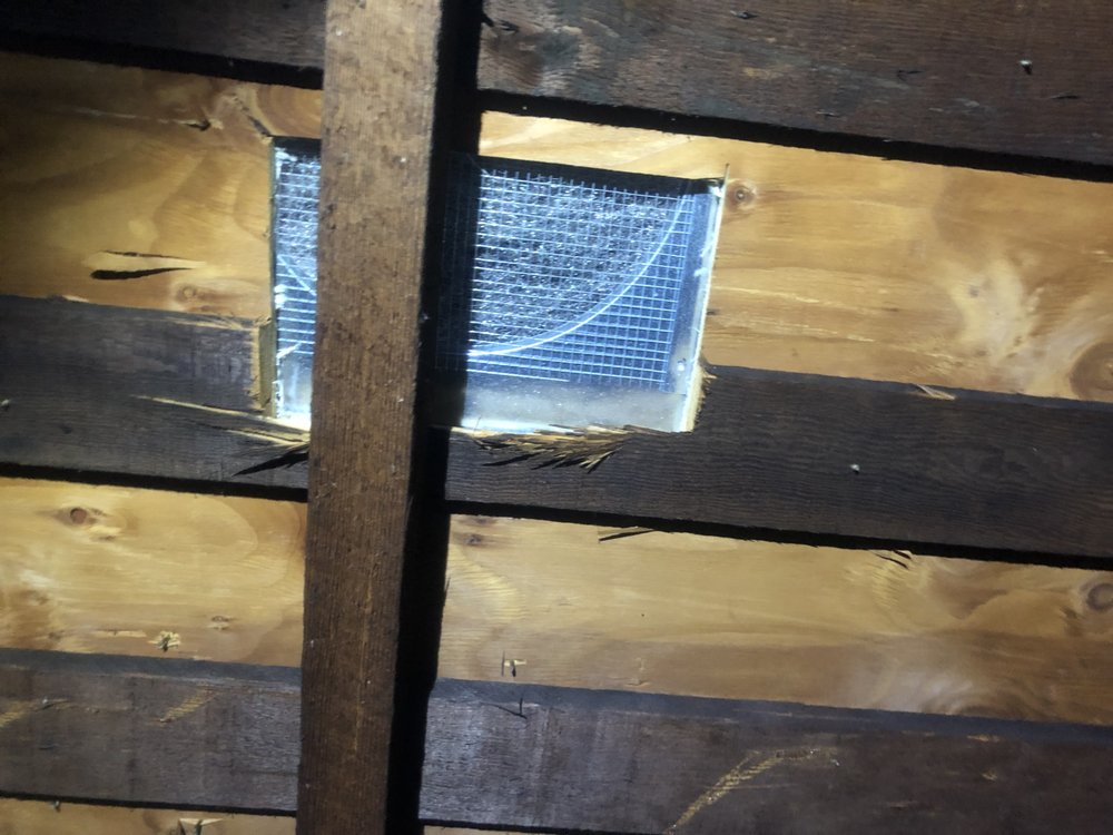 Slide of Semper Solaris