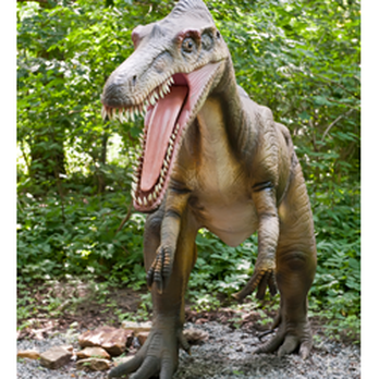 Dino Park Malbork - Amusement Parks Near Me - Malbork, PM