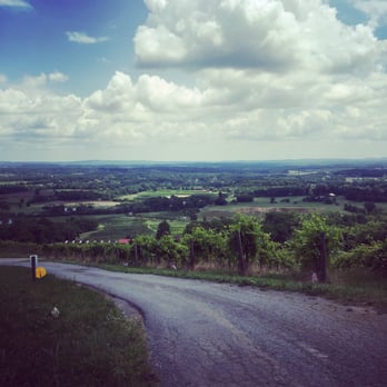 Bluemont Vineyard - The drive in - Venues & Event Spaces Near Me - Bluemont, Virginia