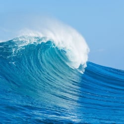 Surf Search - Surf Search- Recruiters helping you ride your career wave