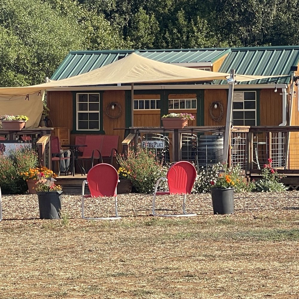 Mia Bea Wines - September 12, 2025 - Tasting area. - Wineries Near Me - Redwood Valley, California Mia Bea Wines - September 12, 2025 - Tasting area. - Wineries Near Me - Redwood Valley, California